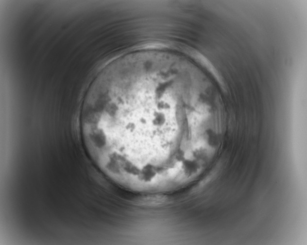 X0000088061417200706081640