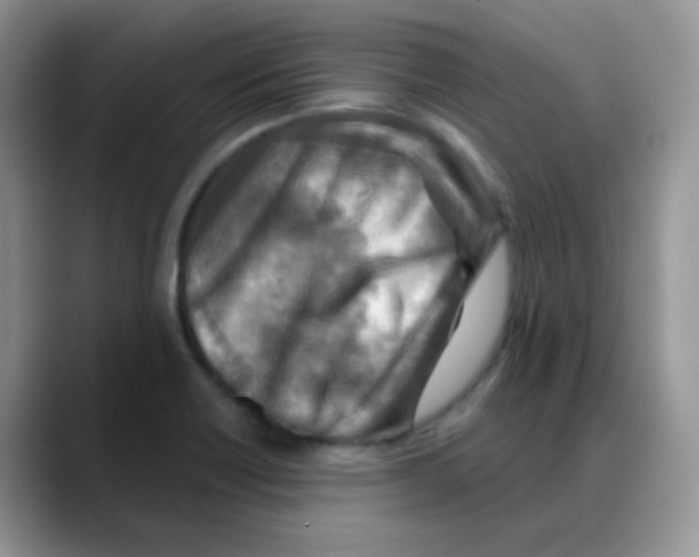 X0000088061418200706081640