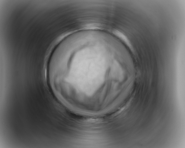 X0000088061419200706081640