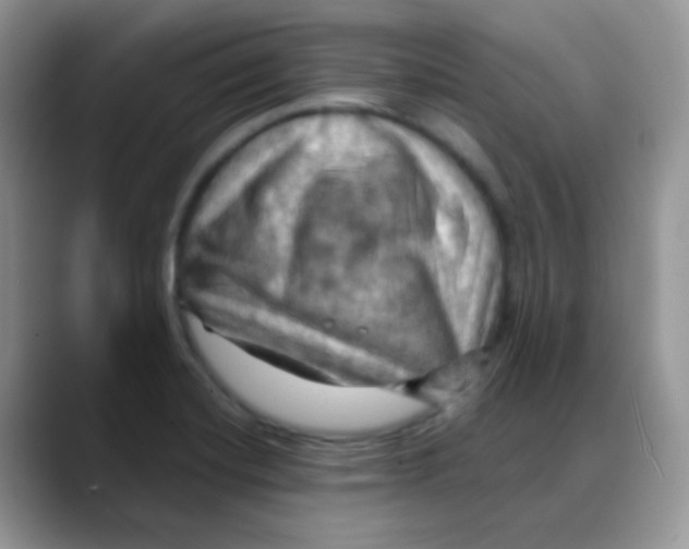 X0000088061420200706081640