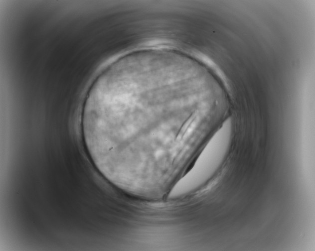 X0000088061421200706081640