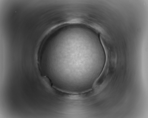 X0000088061422200706081640