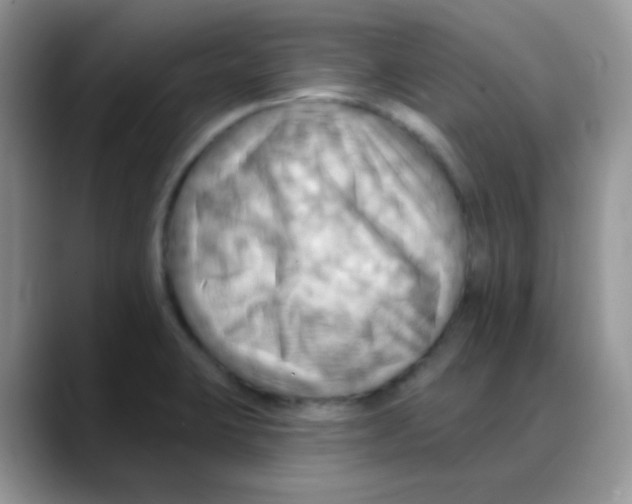X0000088061423200706081640