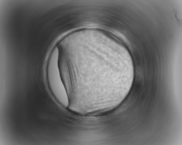 X0000088061424200706081640