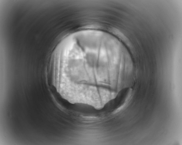 X0000088061425200706081640