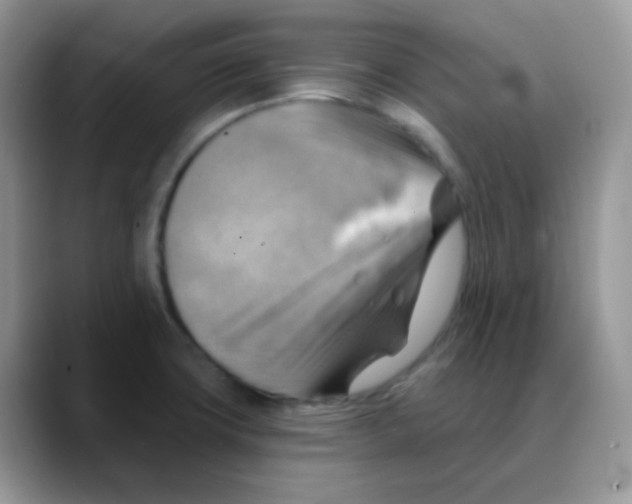 X0000088061427200706081640