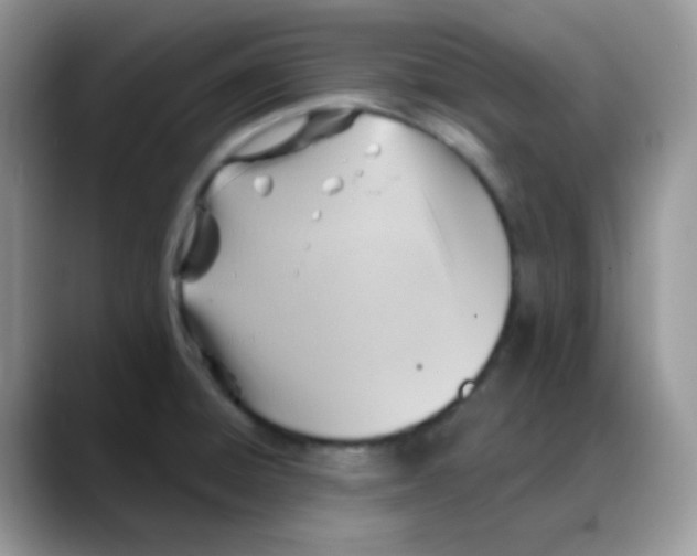 X0000088061428200706081640