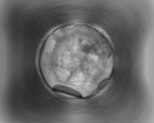 X0000088061429200706081640