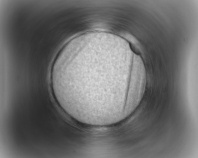 X0000088061431200706081640