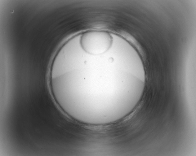 X0000088061432200706081640