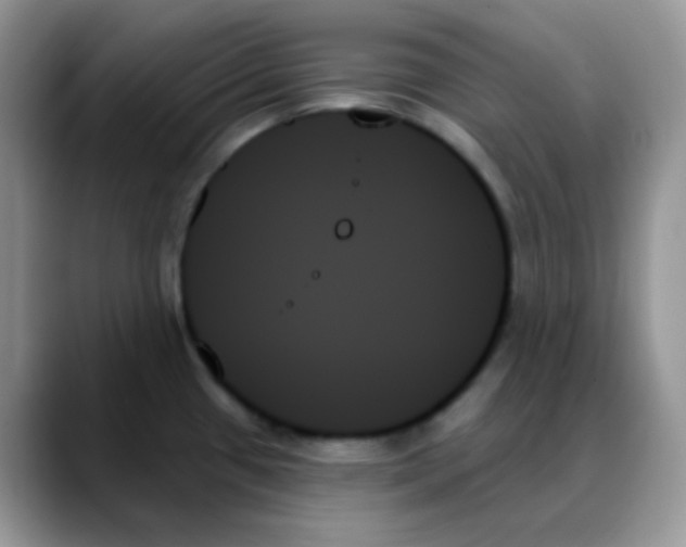 X0000088061433200706081640