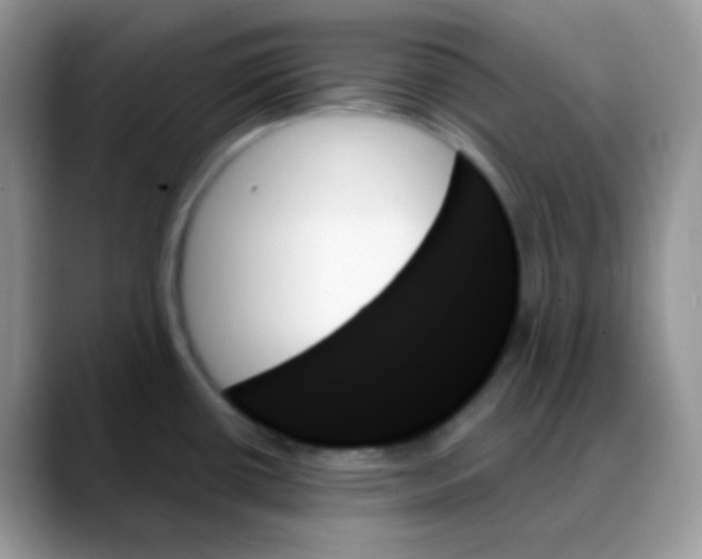 X0000088061434200706081640