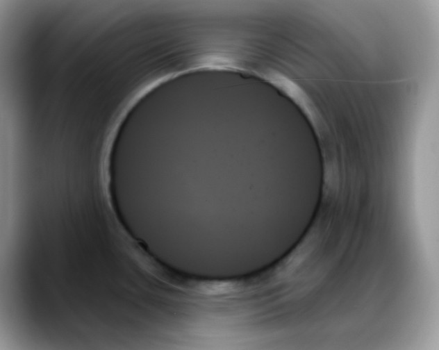 X0000088061435200706081640