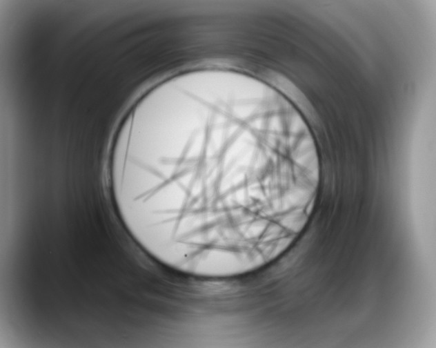 X0000088061436200706081640