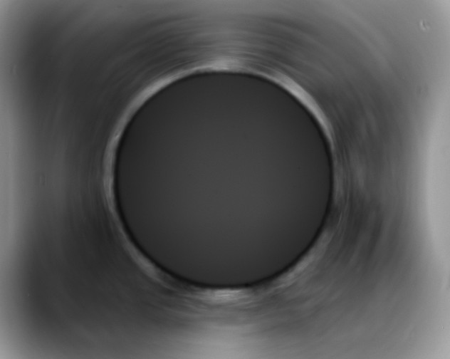 X0000088061437200706081640