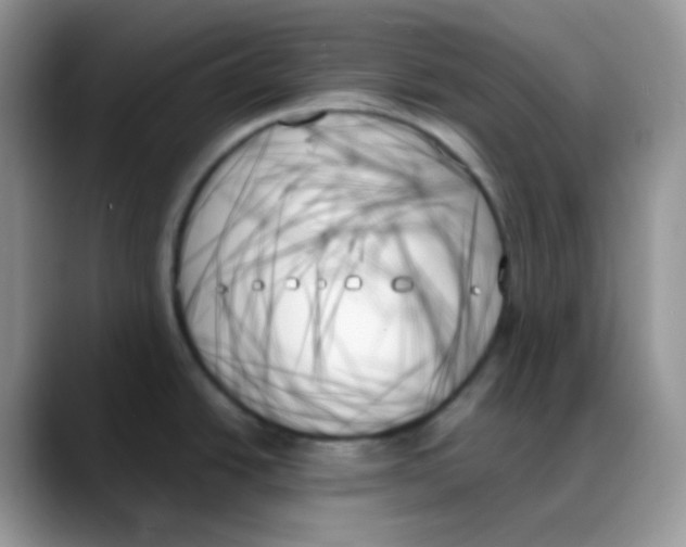 X0000088061438200706081640