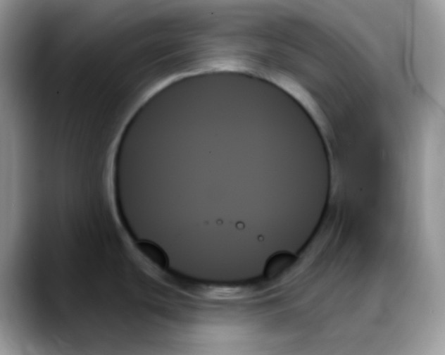 X0000088061439200706081640