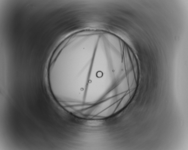 X0000088061440200706081640