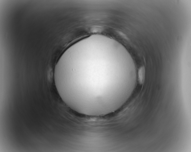X0000088061443200706081640