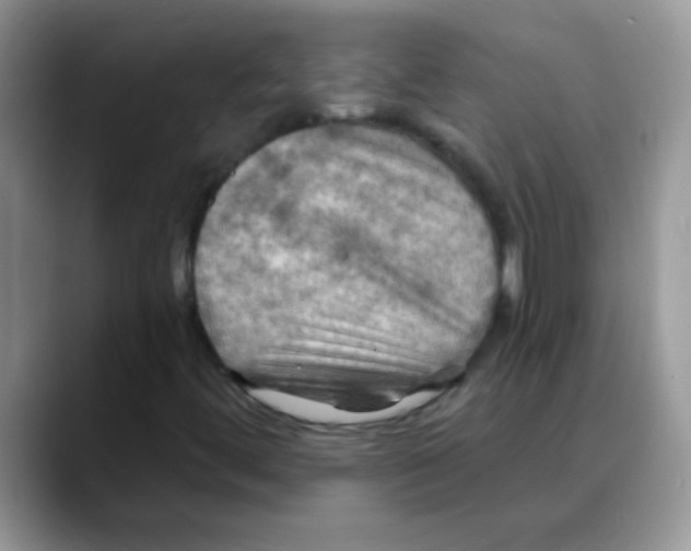X0000088061444200706081640