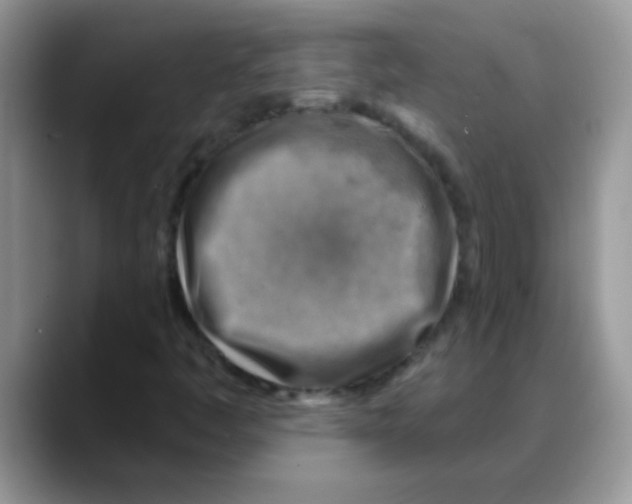 X0000088061445200706081640