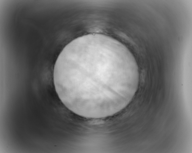 X0000088061446200706081640