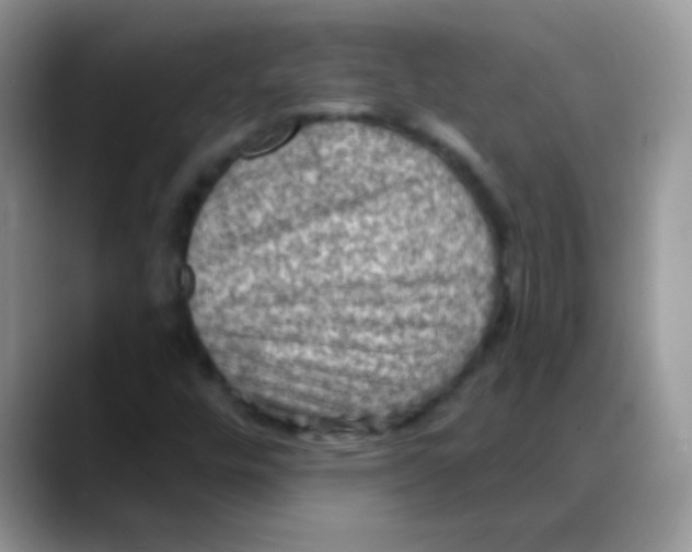 X0000088061448200706081640