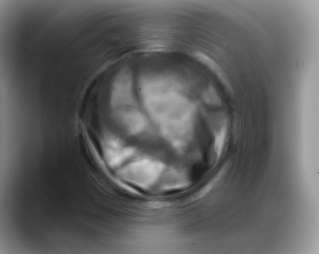 X0000088061449200706081640