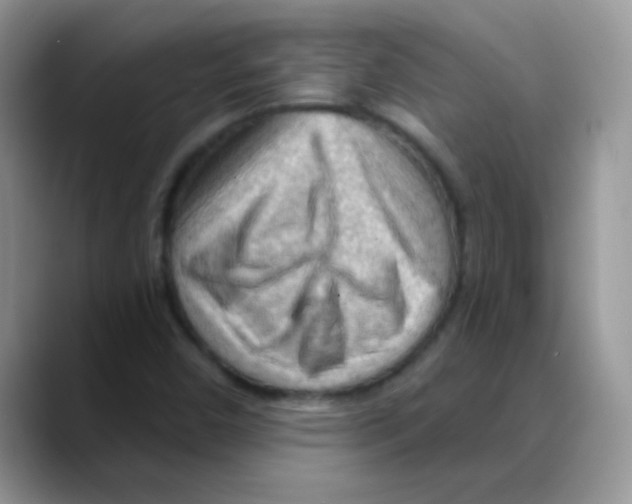 X0000088061450200706081640