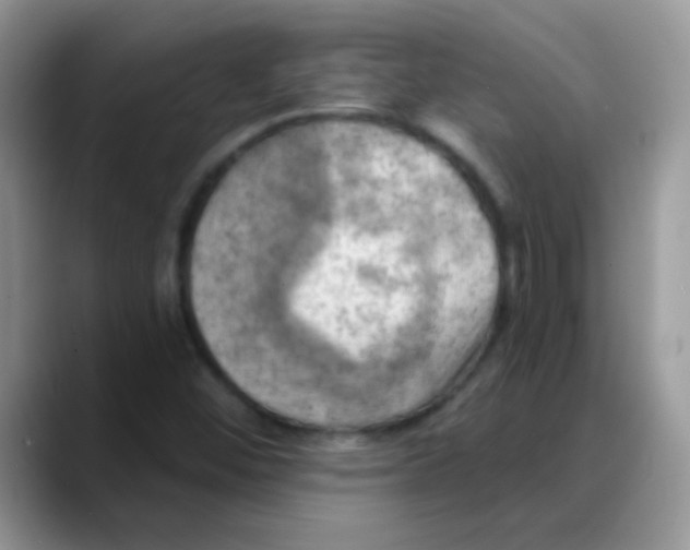 X0000088061452200706081640