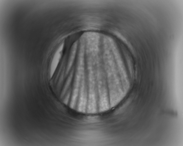 X0000088061453200706081640