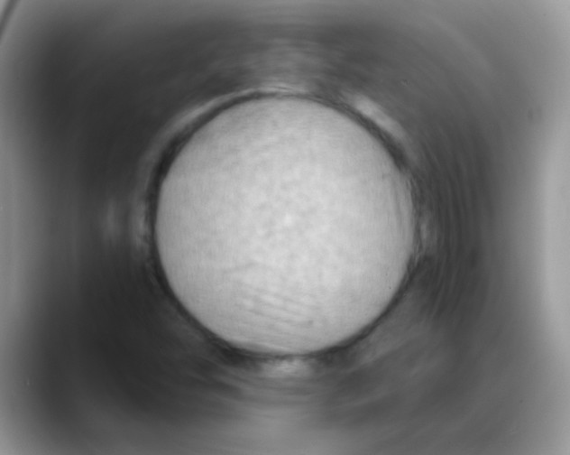 X0000088061454200706081640