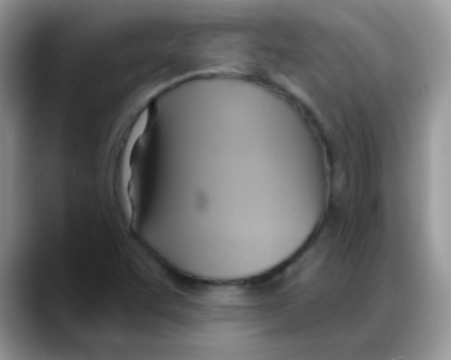 X0000088061455200706081640