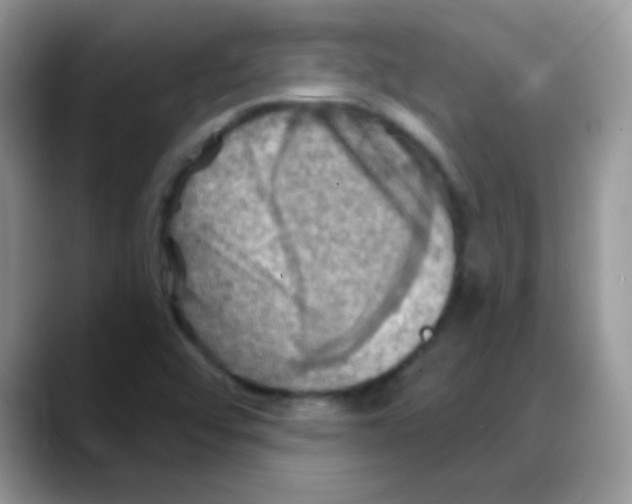 X0000088061456200706081640