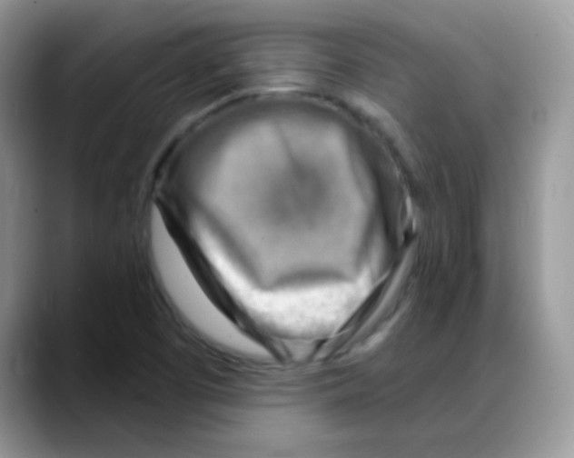 X0000088061457200706081640