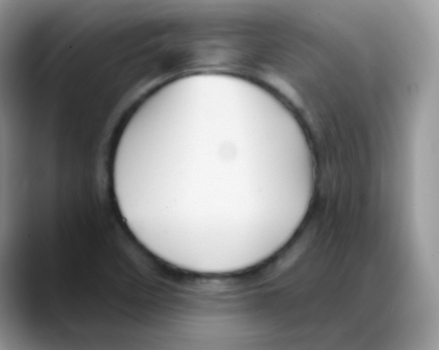 X0000088061458200706081640