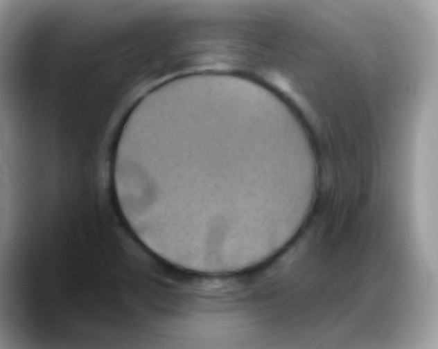 X0000088061459200706081640