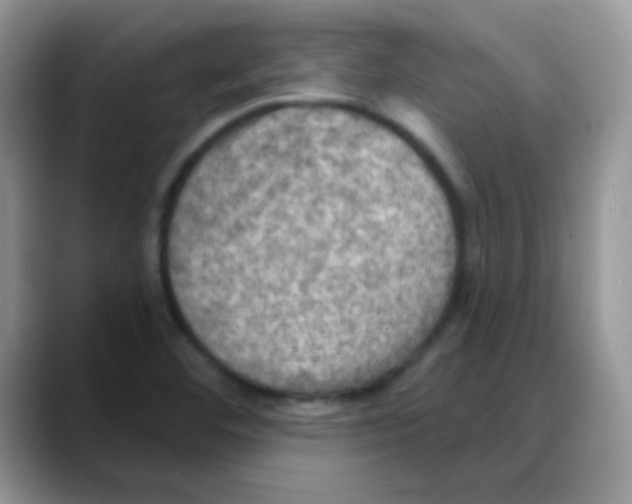 X0000088061460200706081640