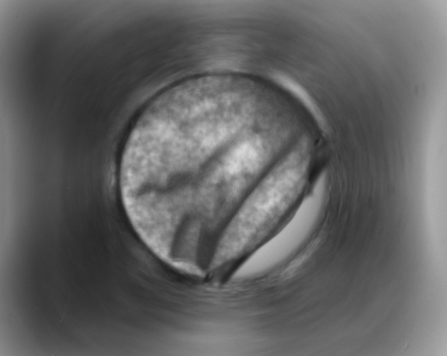 X0000088061461200706081640
