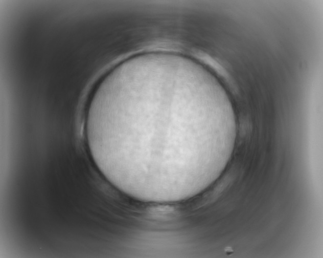 X0000088061462200706081640