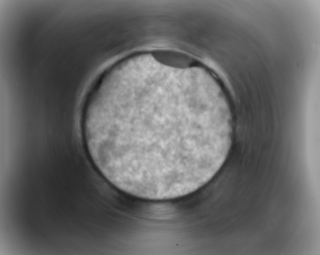 X0000088061464200706081640