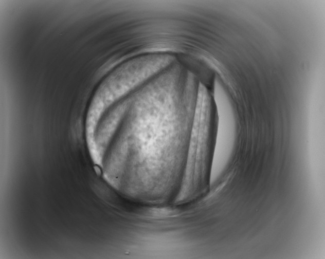 X0000088061465200706081640