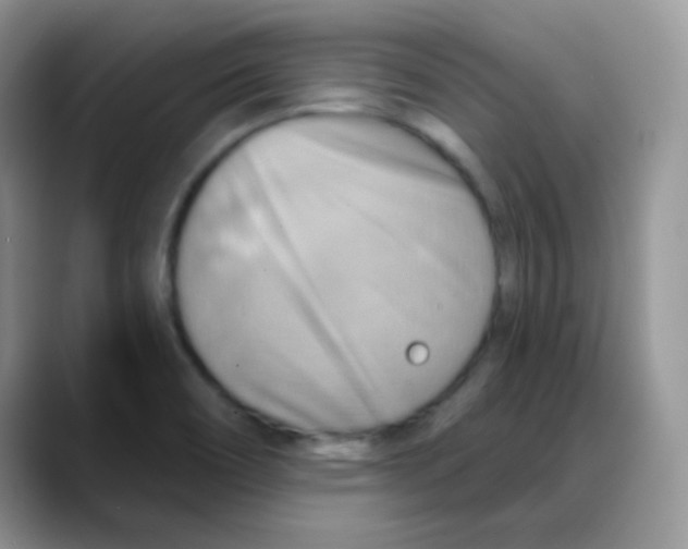 X0000088061466200706081640