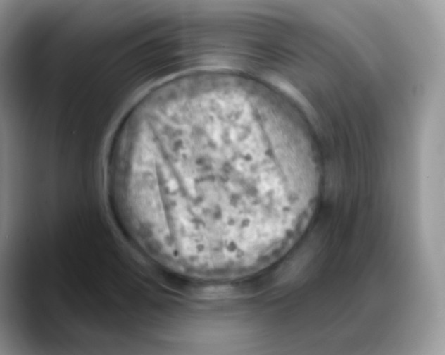X0000088061467200706081640