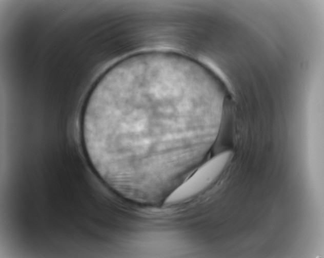X0000088061468200706081640