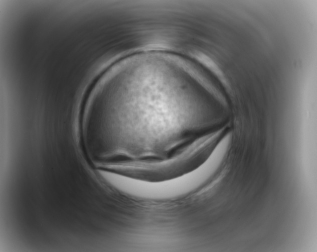 X0000088061469200706081639