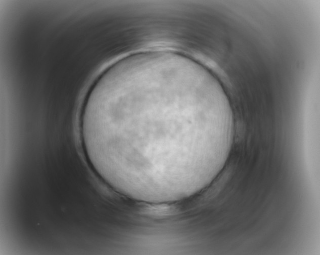 X0000088061470200706081639