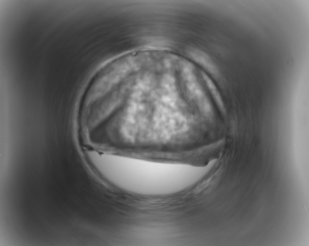 X0000088061471200706081639