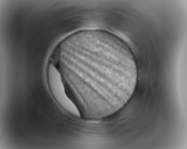 X0000088061472200706081639