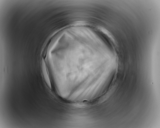 X0000088061473200706081639
